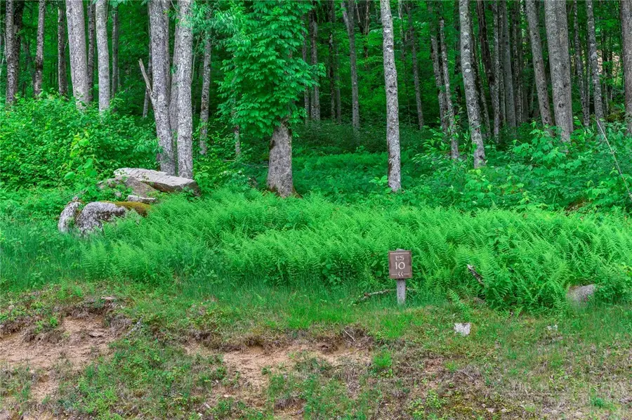 ES-10 Eagle Springs Trail, Banner Elk, NC 28604 - #2