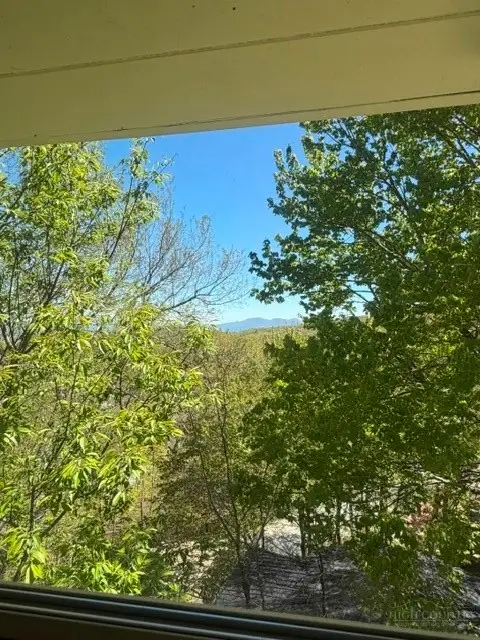 222 Birchwood Lane, Beech Mountain, NC 28604 - #3