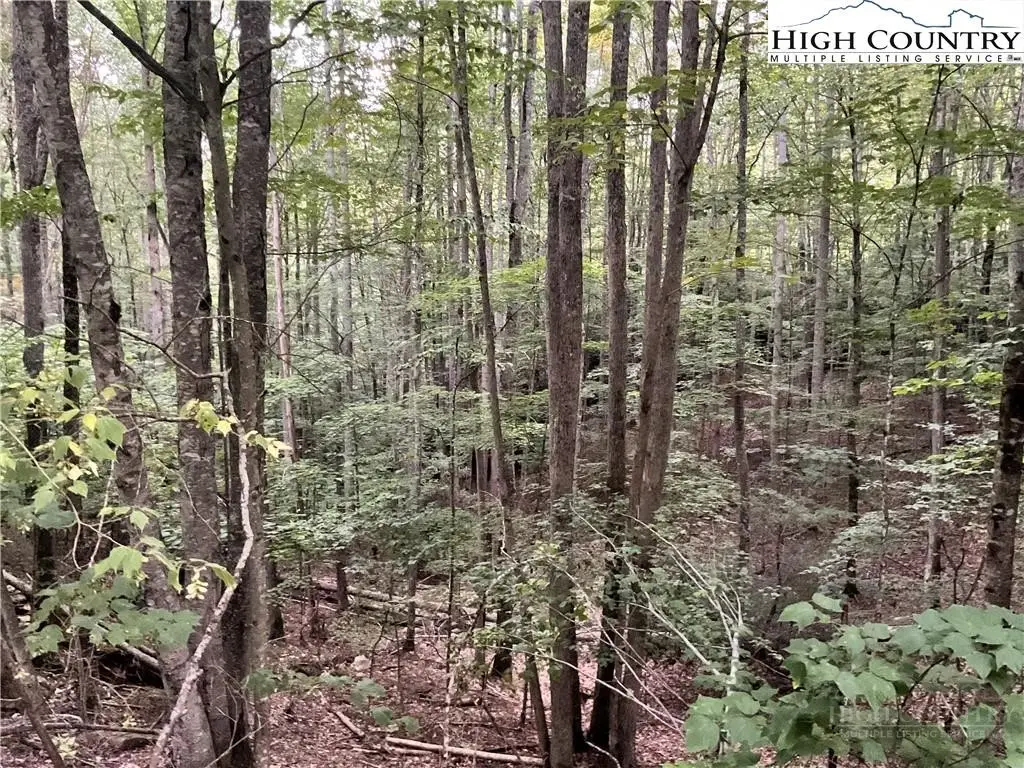 145 Raccoon Road, Beech Mountain, NC 28604 - #1