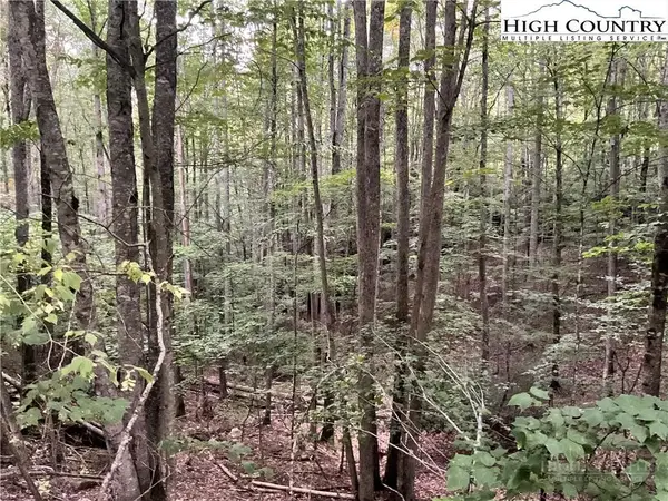 145 Raccoon Road, Beech Mountain, NC 28604