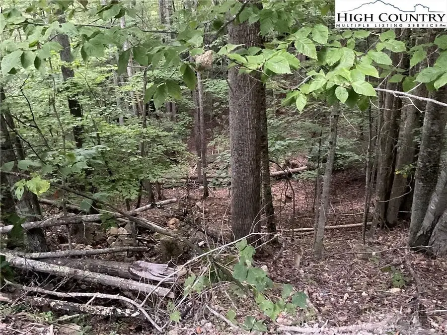 145 Raccoon Road, Beech Mountain, NC 28604 - #2