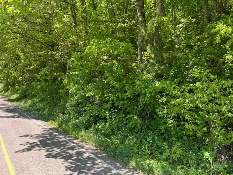 TBD Old Hanging Rock Road, Newland, NC 28657 - #3