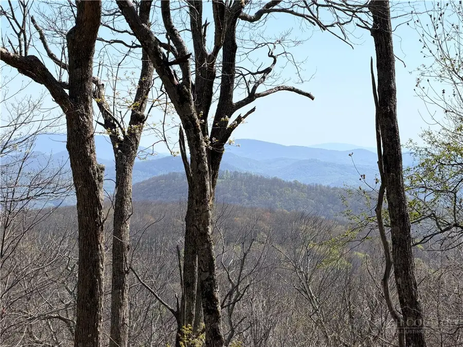 536 Boone Ridge Lane, Boone, NC 28607 - #3