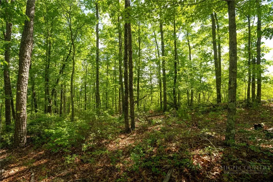 75 Lobelia Lane, Boone, NC 28607 - #3