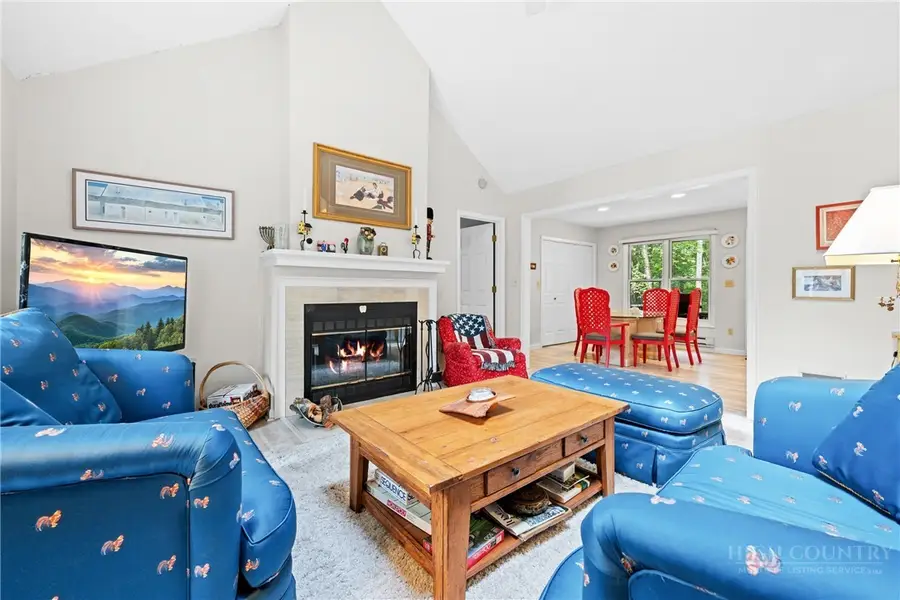 137 Staghorn Hollow Road, Beech Mountain, NC 28604 - #3