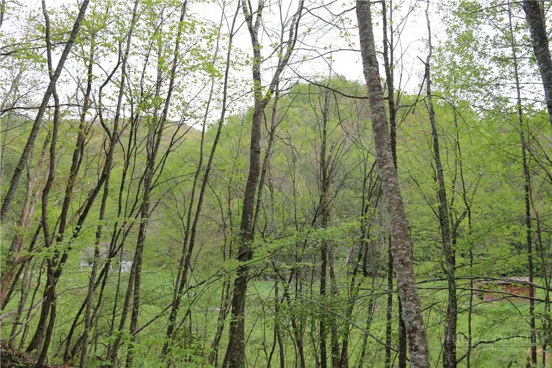 TBD Flatwoods School Road, Creston, NC 28615 - #1