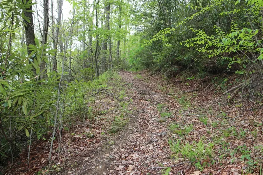 TBD Flatwoods School Road, Creston, NC 28615 - #2