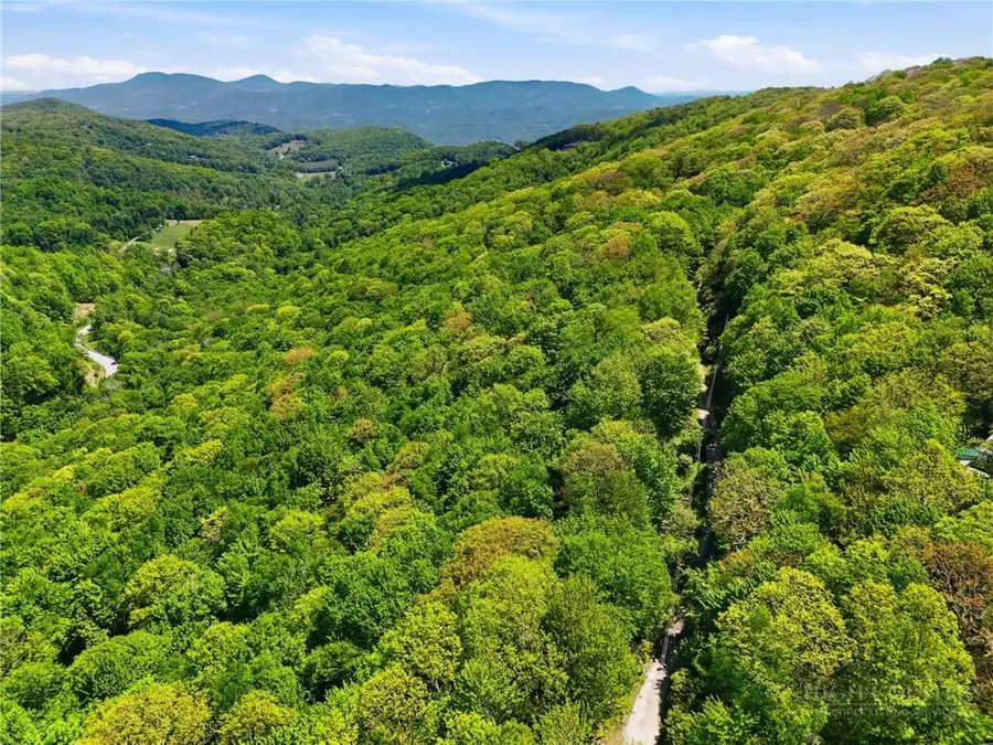 Lot #31 Snow Ridge Road, Banner Elk, NC 28604 - #2
