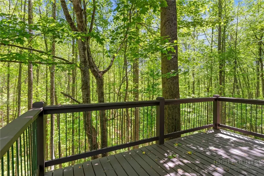73 Happy Hunt Drive, Grassy Creek, NC 28631 - #3