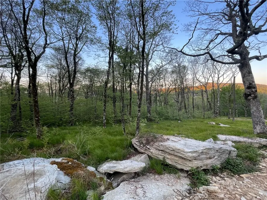 2 Acre Spur Lane, Beech Mountain, NC 28604 - #2