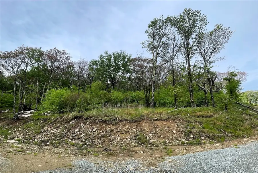 Tract 2 Spur Lane, Beech Mountain, NC 28604 - #2
