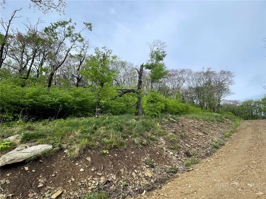 Tract 2 Spur Lane, Beech Mountain, NC 28604 - #3