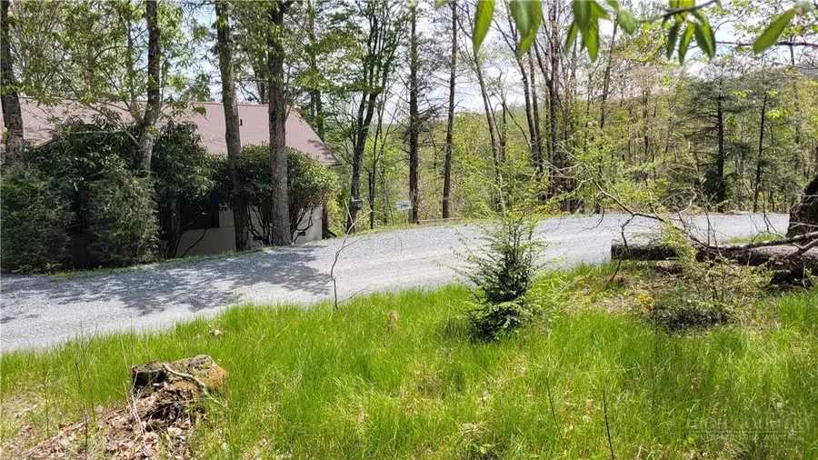 112 Foxgrape Hollow, Beech Mountain, NC 28604 - #2