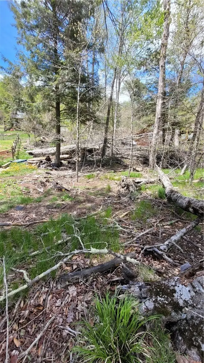 112 Foxgrape Hollow, Beech Mountain, NC 28604 - #3