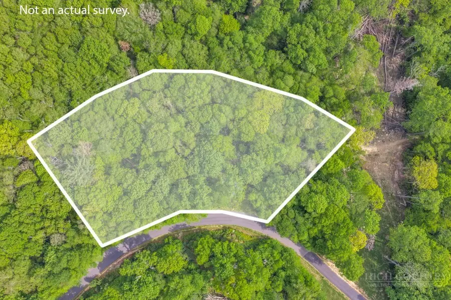 Lot 218 Stack Rock Trail, Blowing Rock, NC 28605 - #2
