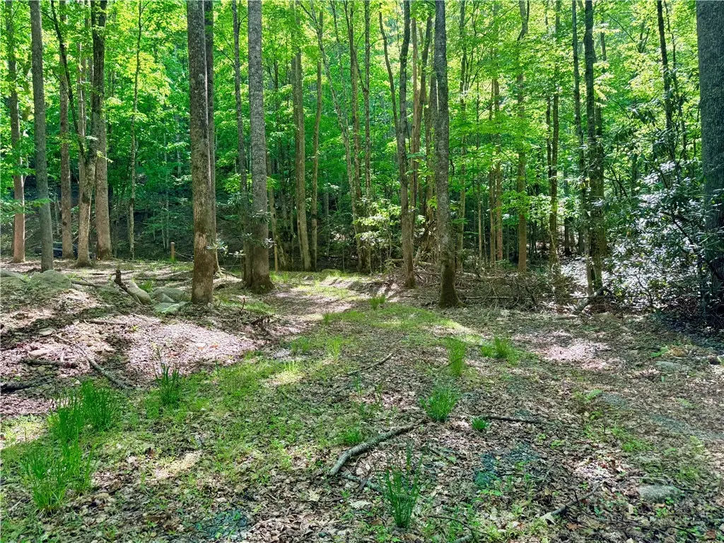 Lot 5A Buckeye Ridge Road, Beech Mountain, NC 28604 - #1