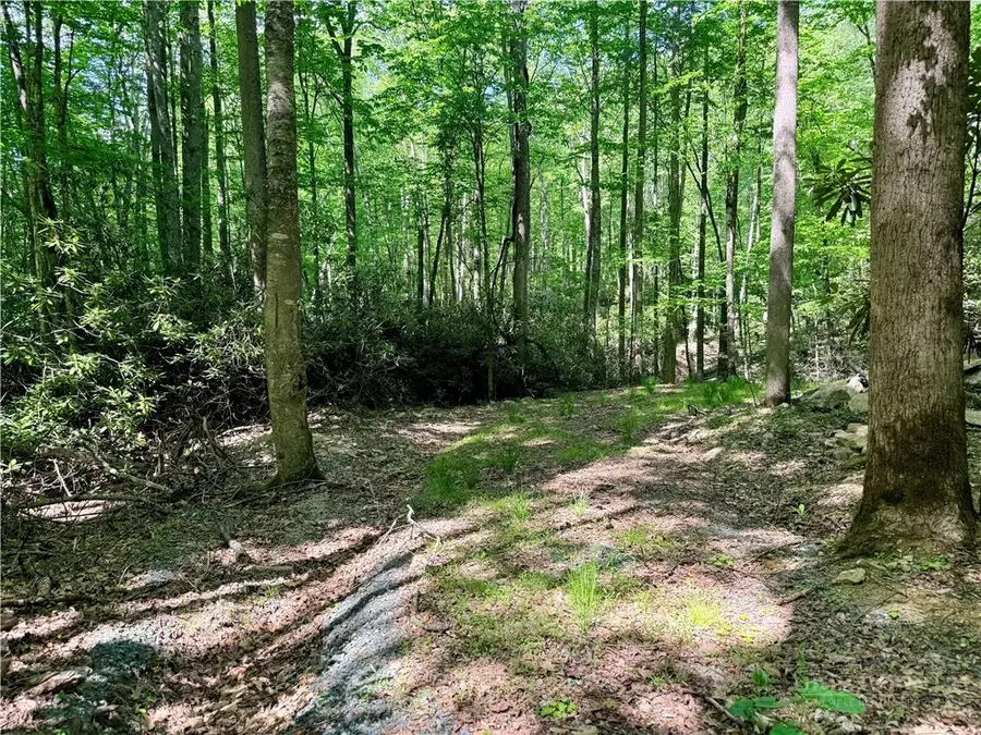 Lot 5A Buckeye Ridge Road, Beech Mountain, NC 28604 - #2
