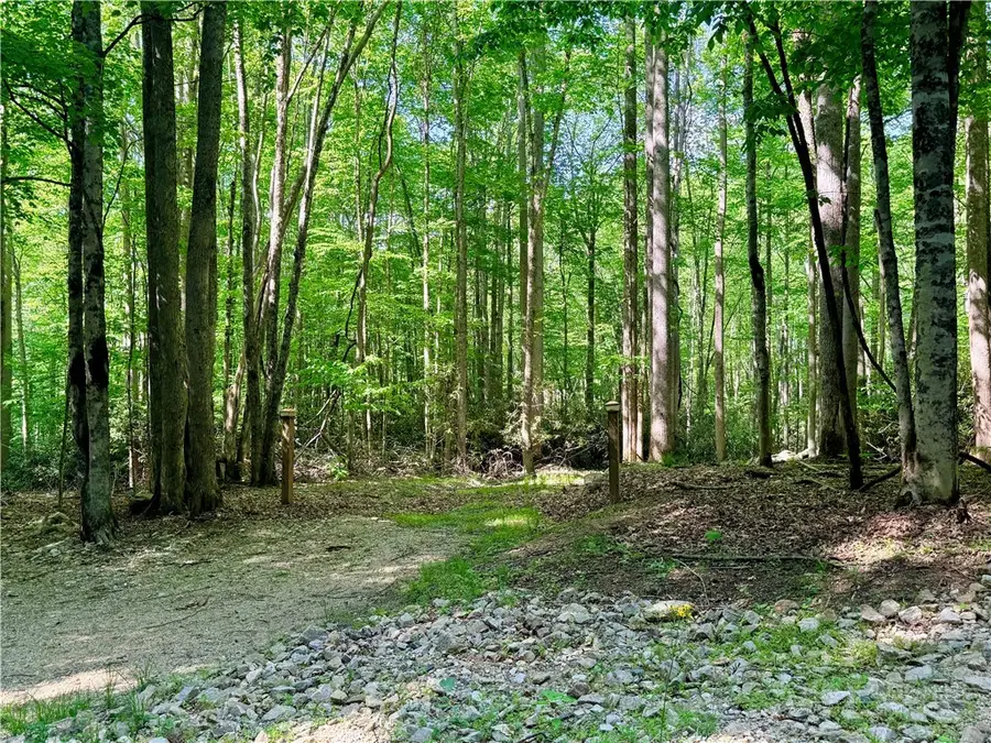 Lot 5A Buckeye Ridge Road, Beech Mountain, NC 28604 - #3