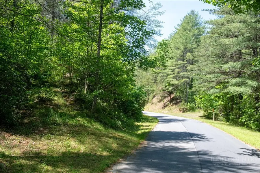 000 Narrow Gauge Drive #18, Johns River, NC 28611 - #2