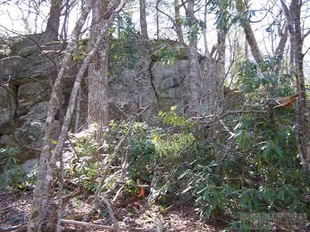 Lot #21 Scaley Bark Lane, Boone, NC 28607 - #3