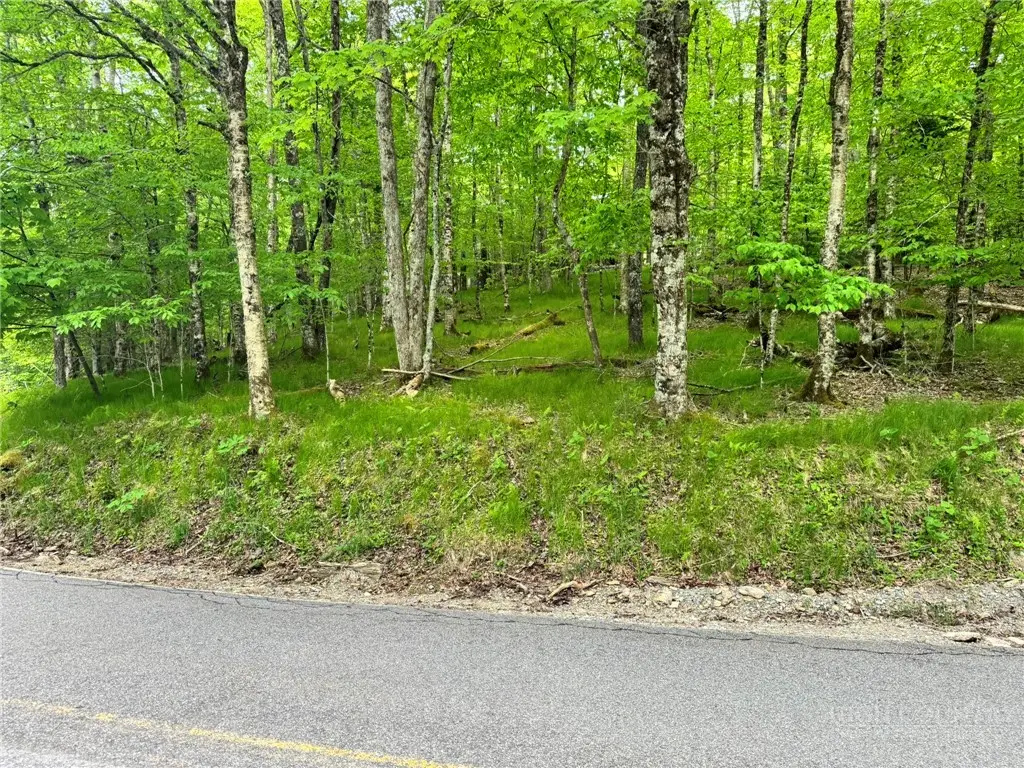 146 Hornbeam Road, Beech Mountain, NC 28604 - #1