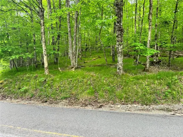 146 Hornbeam Road, Beech Mountain, NC 28604