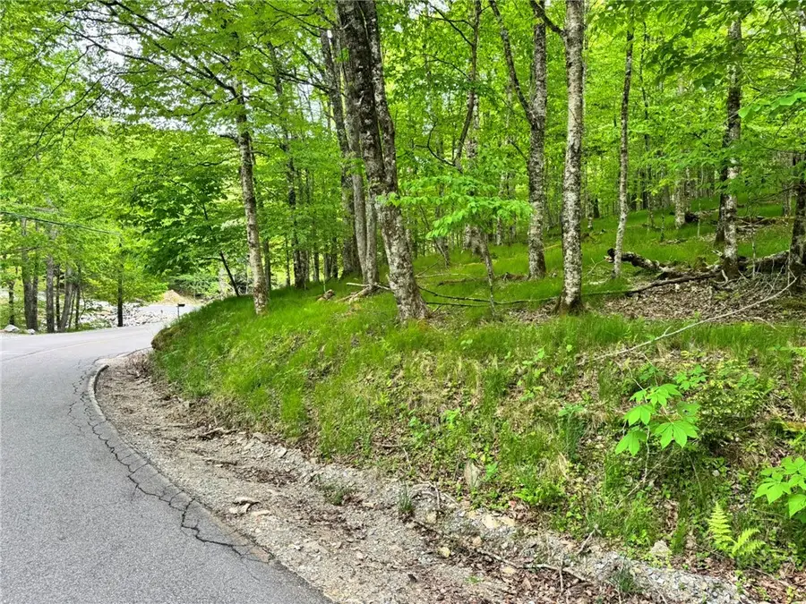 146 Hornbeam Road, Beech Mountain, NC 28604 - #2