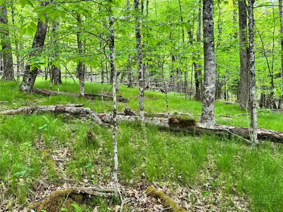 146 Hornbeam Road, Beech Mountain, NC 28604 - #3