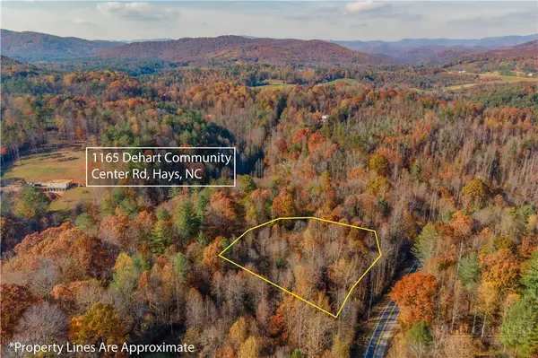 1165 Dehart Community Center Road, Hays, NC 28635