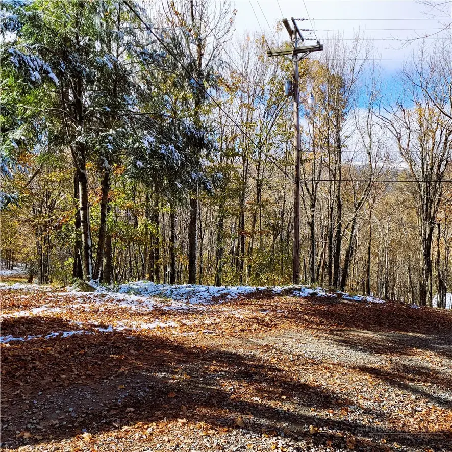 1026 Charter Hills (plus Tract 2) Road, Beech Mountain, NC 28604 - #1