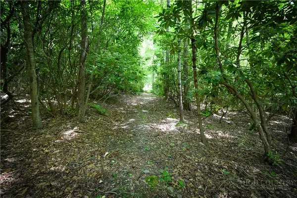 Lot 2 Gusher Knob Road, Spruce Pine, NC 28657