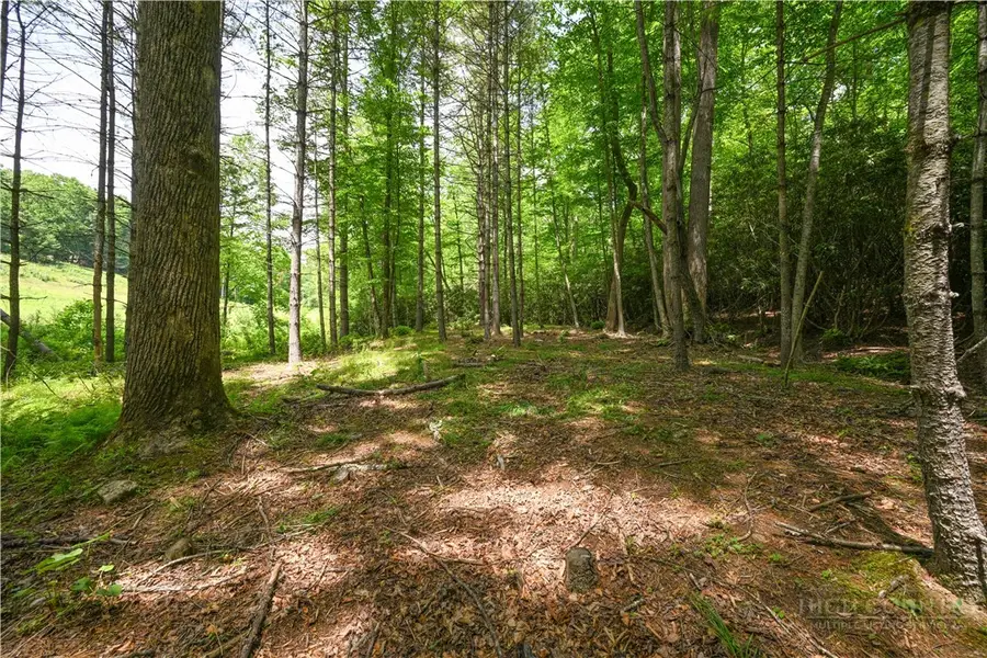Lot 2 Gusher Knob Road, Ingalls, NC 28657 - #2