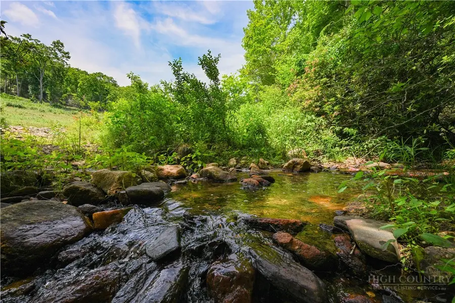 Lot 2 Gusher Knob Road, Ingalls, NC 28657 - #3