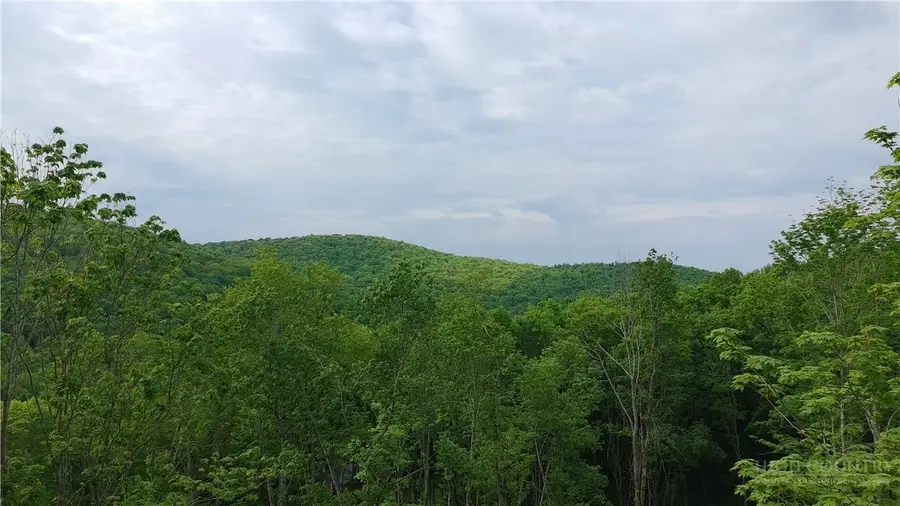 Lot 8 Timberwood Trail, Newland, NC 28657 - #3