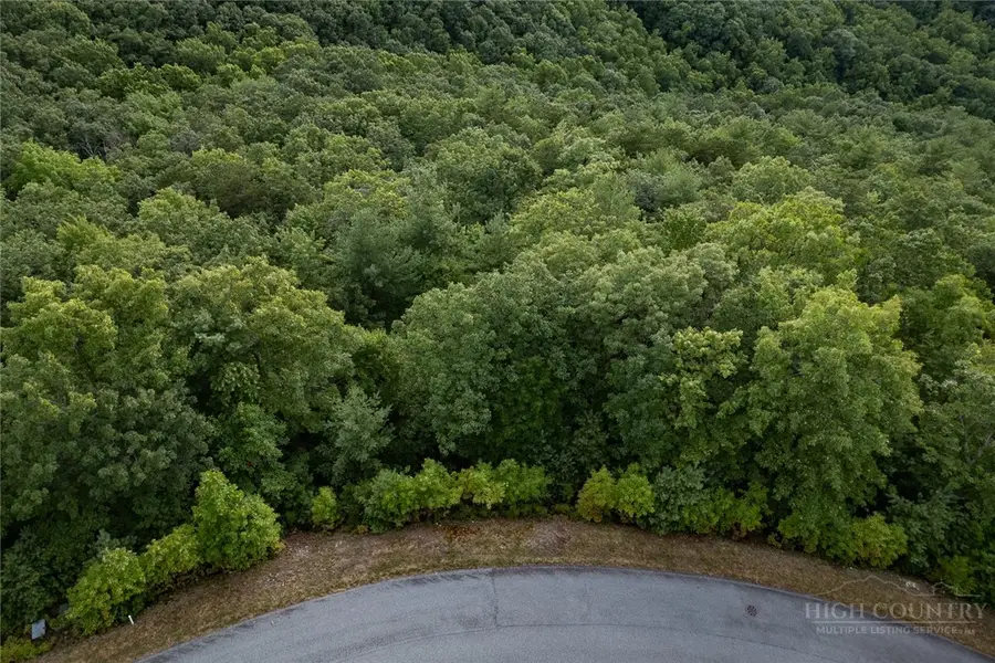 352 Pepperroot Road, Boone, NC 28607 - #2
