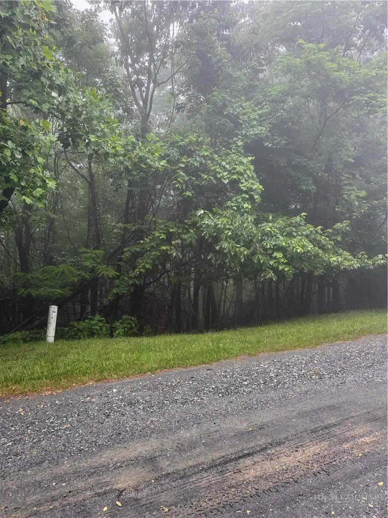 tbd Wildcat Estates Drive, Deep Gap, NC 28618 - #1