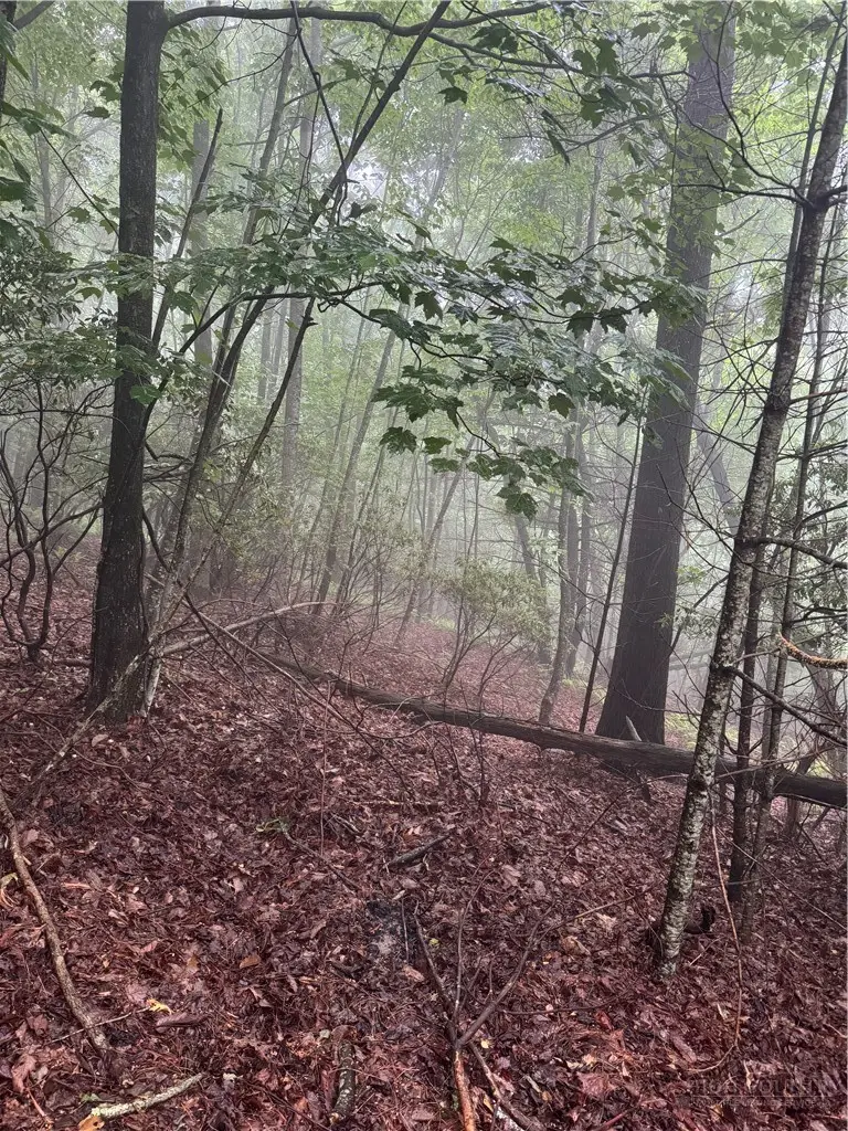 tbd Wildcat Estates Drive, Deep Gap, NC 28618 - #2