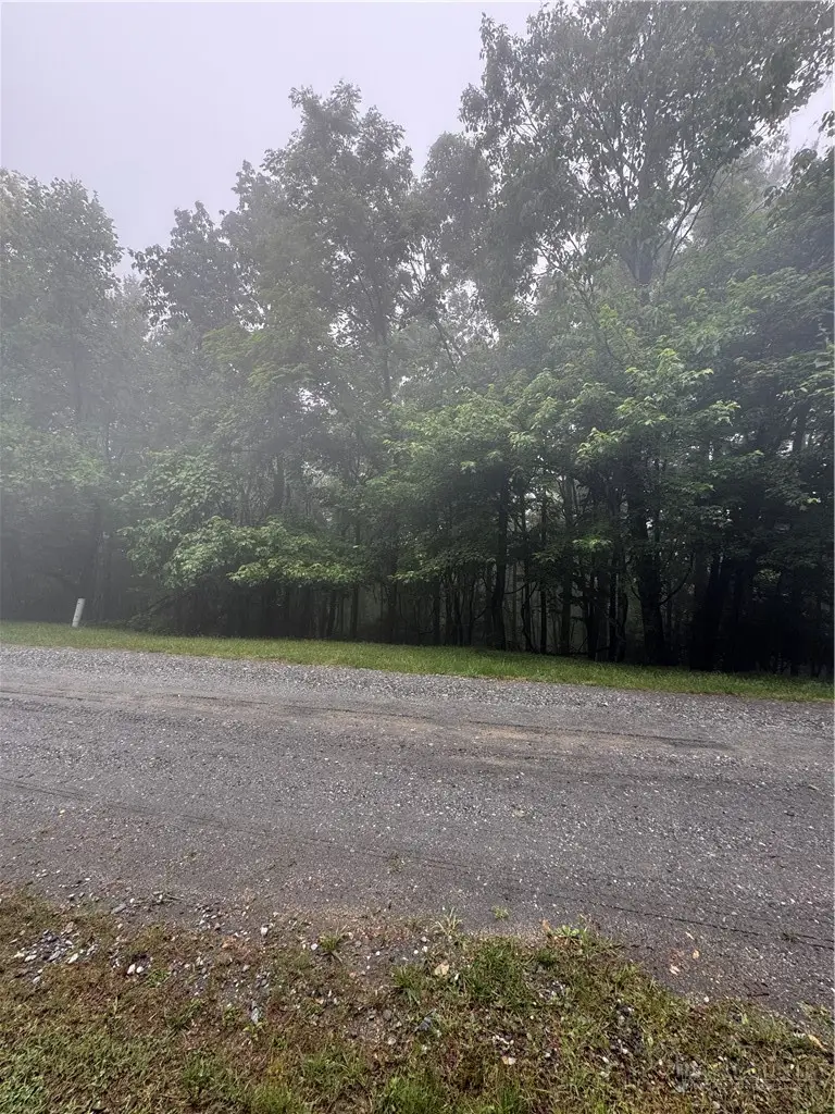 tbd Wildcat Estates Drive, Deep Gap, NC 28618 - #3