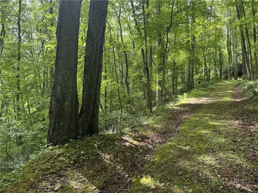 TBD Man O War S, Vilas, NC 28692 - #2