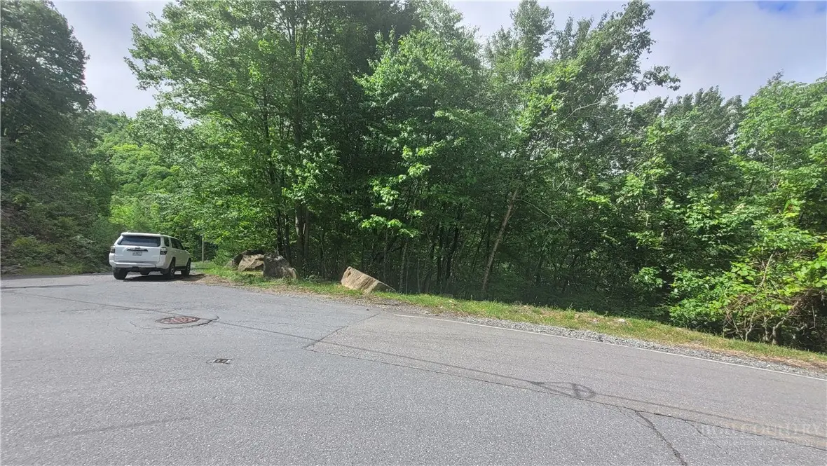 425 Pinnacle Ridge Road, Beech Mountain, NC 28604 - #1