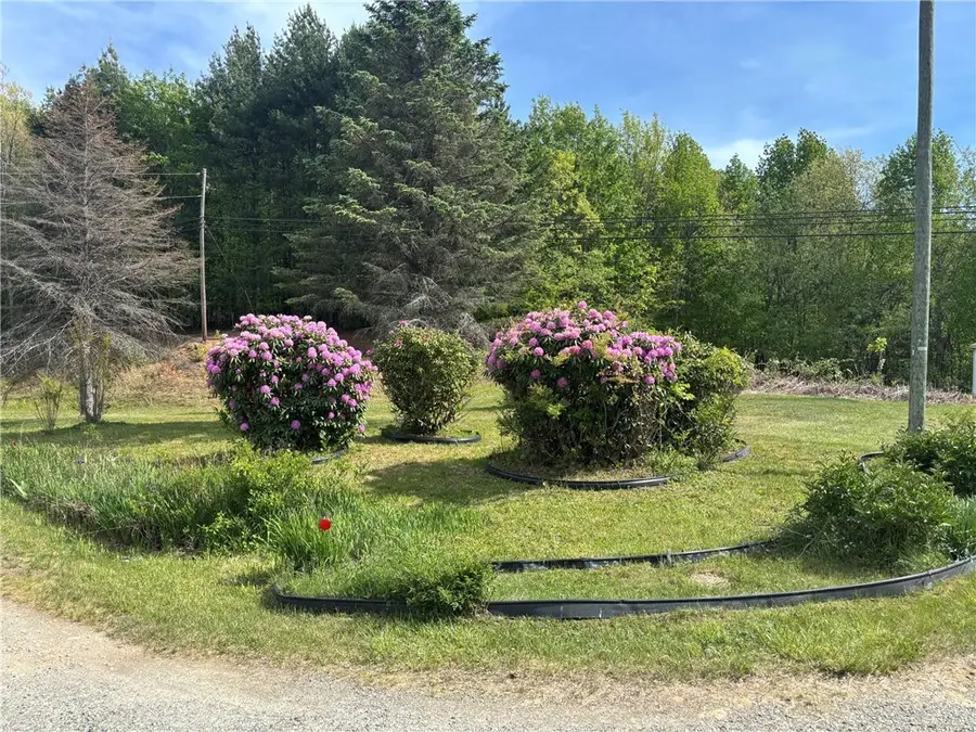 397 Us Hwy 221 South Highway, Sparta, NC 28675 - #3