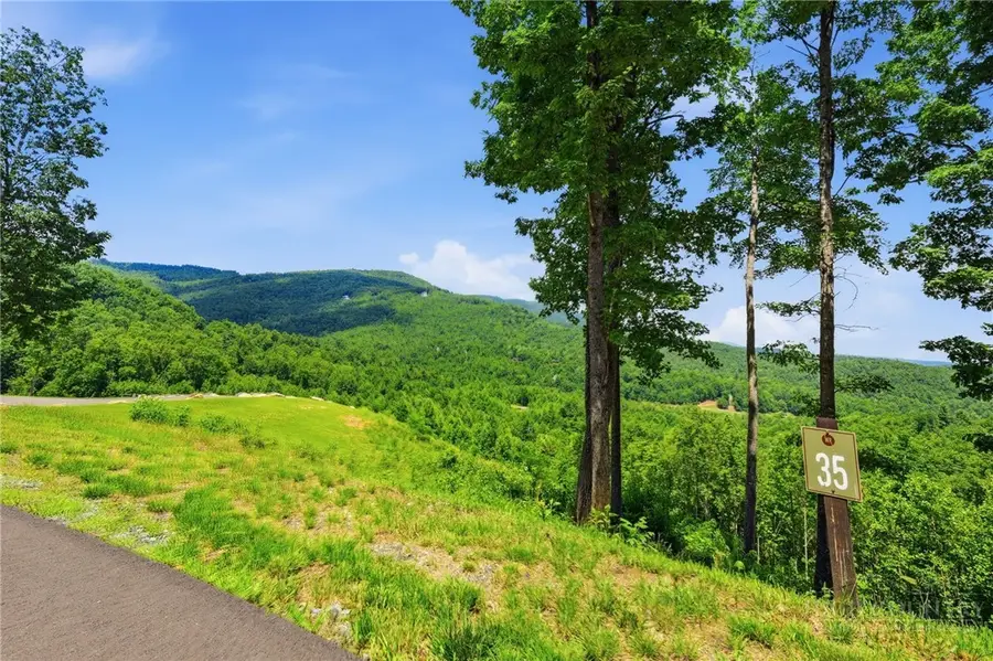Lot 35 Wildcat Wilderness Parkway, Deep Gap, NC 28618 - #3