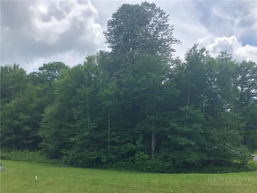 Lot #3 Trillium Lane, Sugar Mountain, NC 28604 - #2