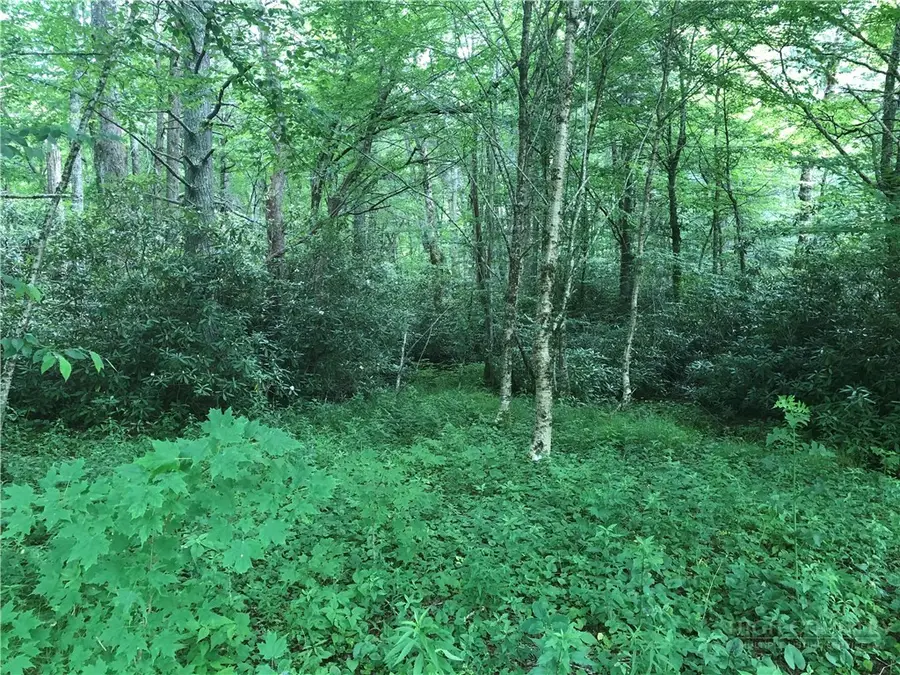 Lot #3 Trillium Lane, Sugar Mountain, NC 28604 - #3