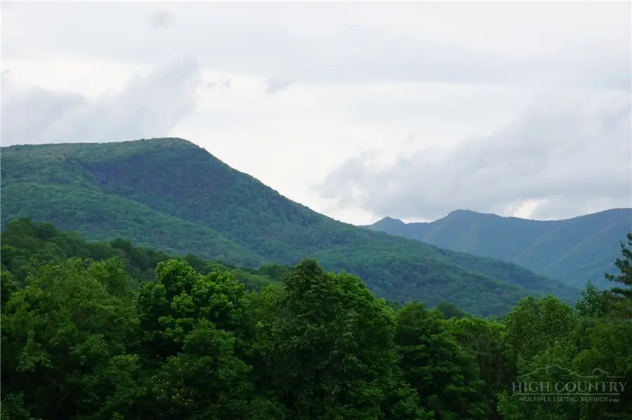 1470 Buck Mountain Road, West Jefferson, NC 28694 - #2