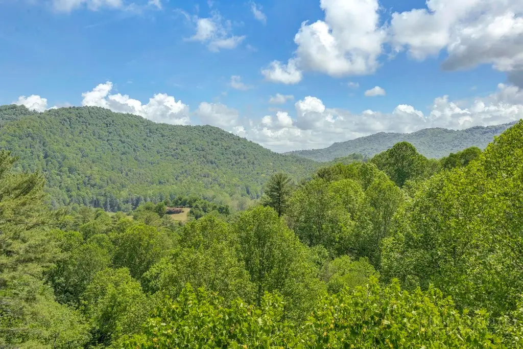 Lot 36 Daisy Ridge Road, Banner Elk, NC 28604 - #1