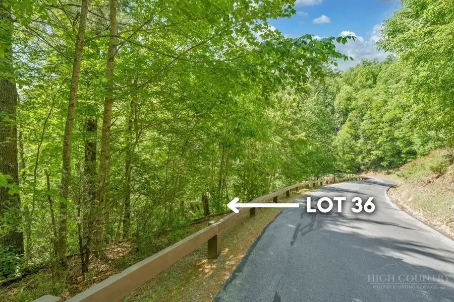 Lot 36 Daisy Ridge Road, Banner Elk, NC 28604 - #2