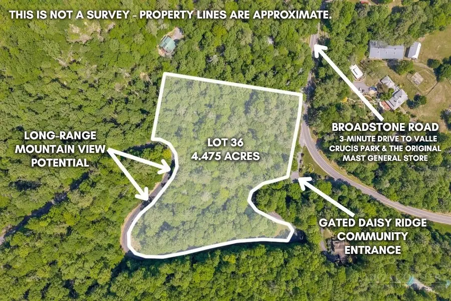 Lot 36 Daisy Ridge Road, Banner Elk, NC 28604 - #3
