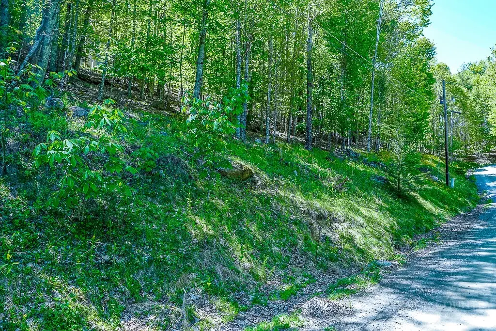241 Lakeledge Road, Beech Mountain, NC 28604 - #1