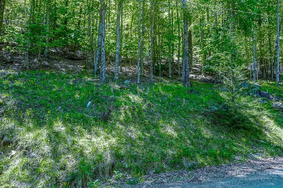241 Lakeledge Road, Beech Mountain, NC 28604 - #3